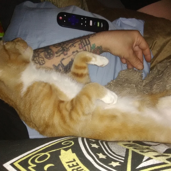 Meet your Posher, Jessica - Picture 9 of 14